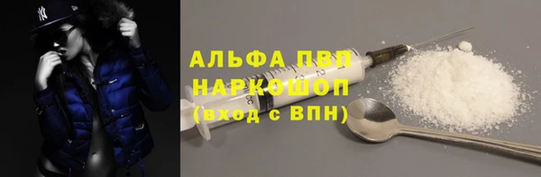стаф Пересвет