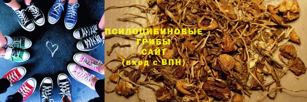 мяу мяу мука Переславль-Залесский