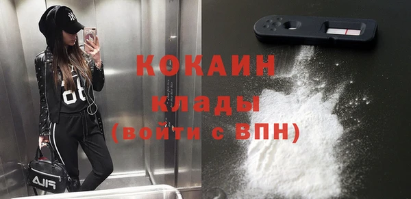 стафф Алексин