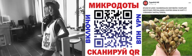 Галлюциногенные грибы мицелий  дарнет шоп  Покачи 